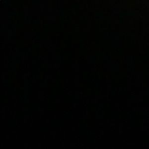 Meet your Posher, Kenisha